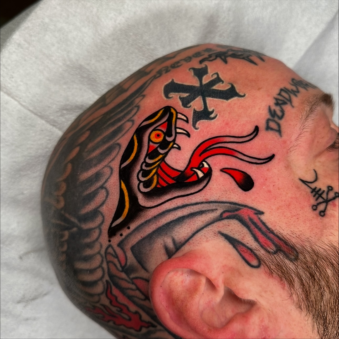 Snake and flame American traditional tattoo on the head by Schyler Ames, Canal Fulton, Ohio