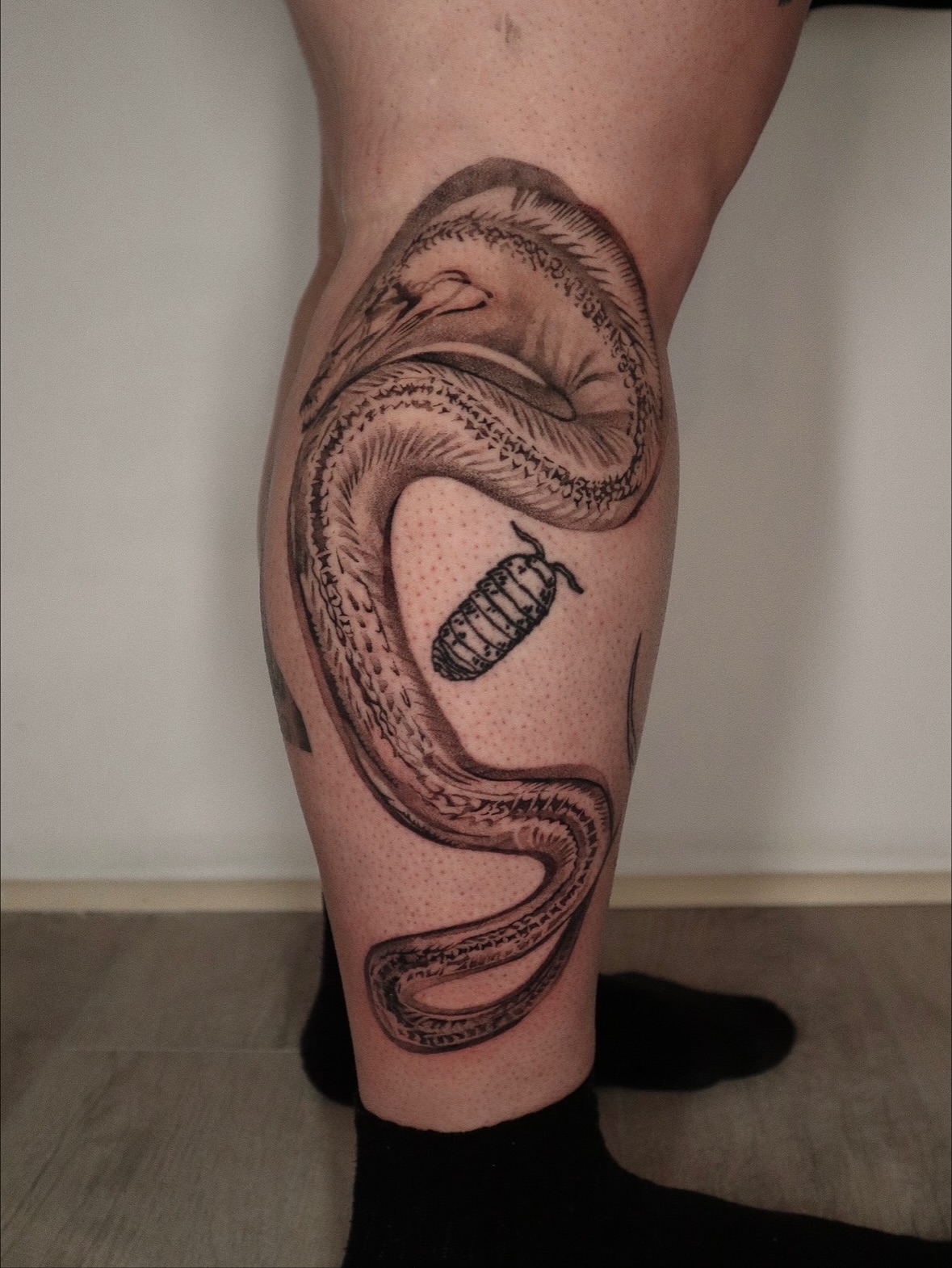 Snake dotwork tattoo on the calf by 𝕮𝖔𝖓𝖓𝖔𝖗 ☾  ~ TATTOO ARTIST