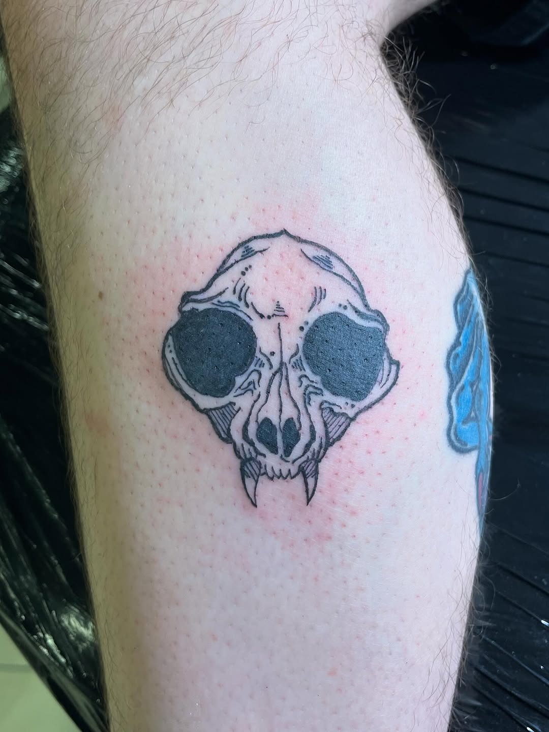 Cat skull realism tattoo on the forearm by ❦julia