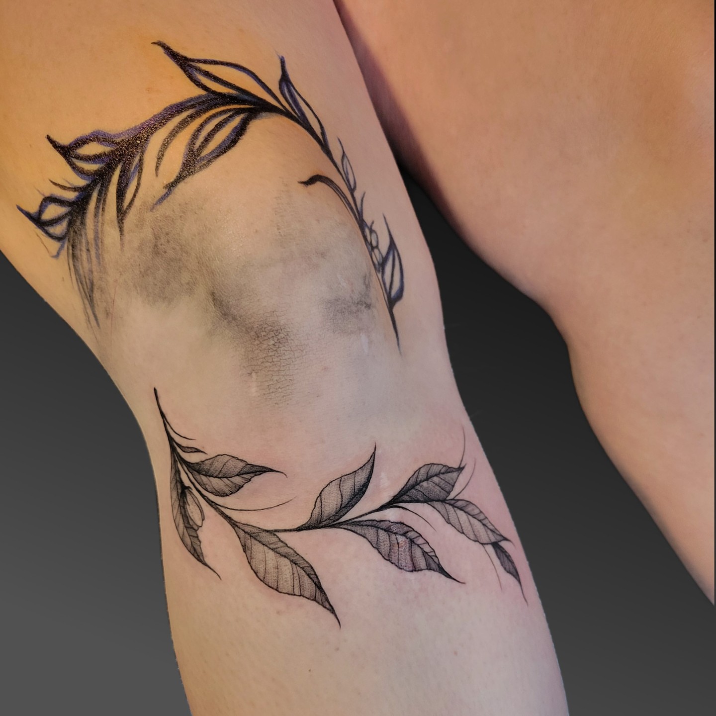 Feather and leaves black and grey tattoo on the upper arm by Arick Reese