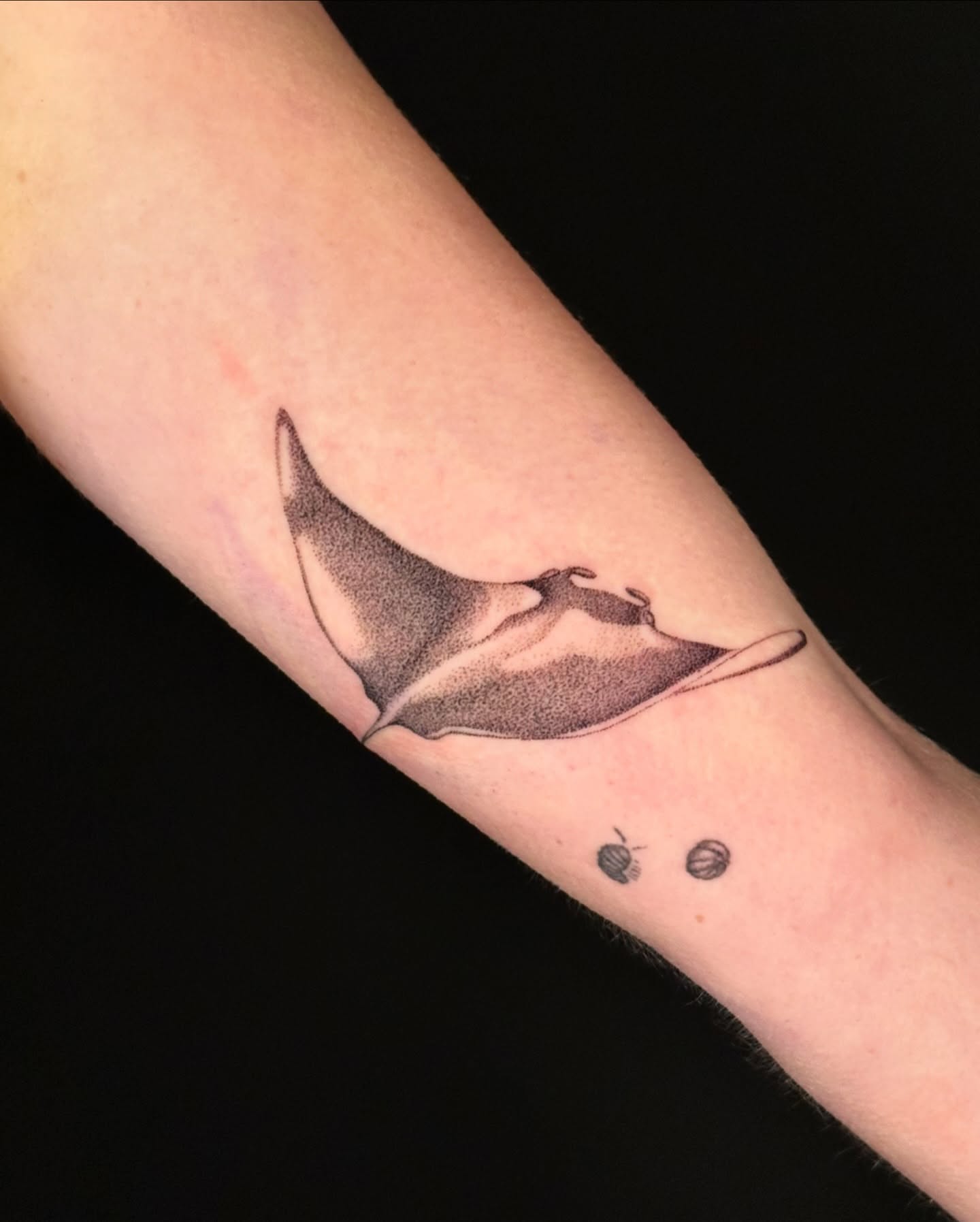 Bat black and grey tattoo on the forearm by Chelsey