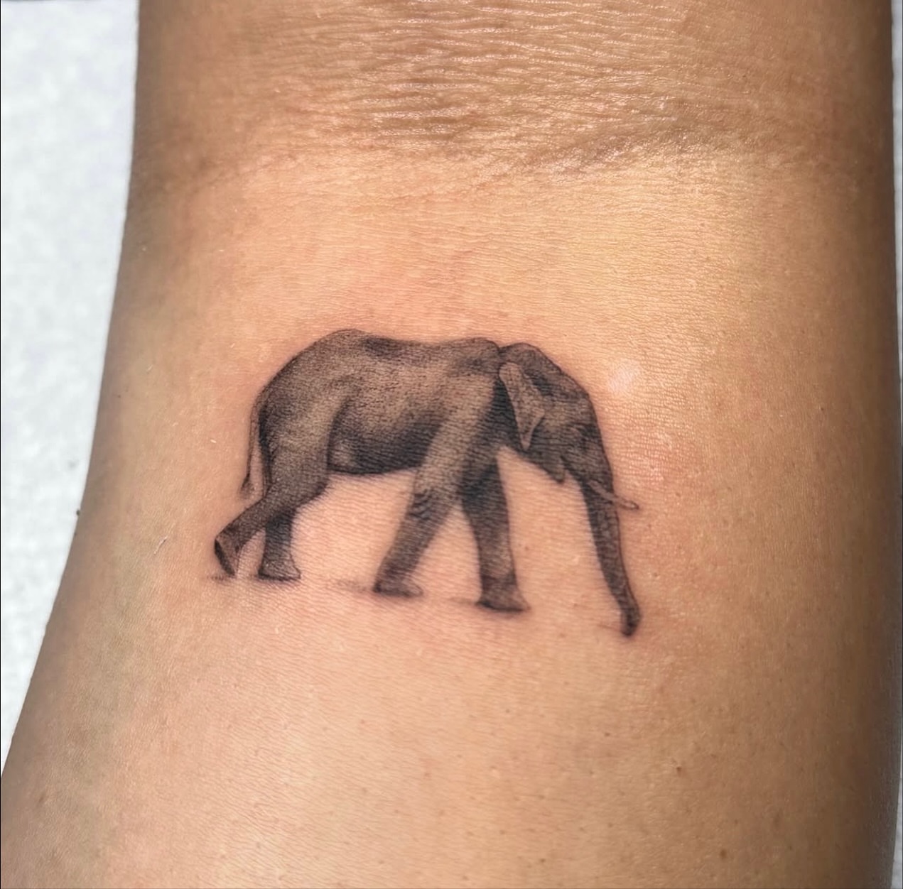Elephant realism tattoo on the forearm by Angel Tattoos