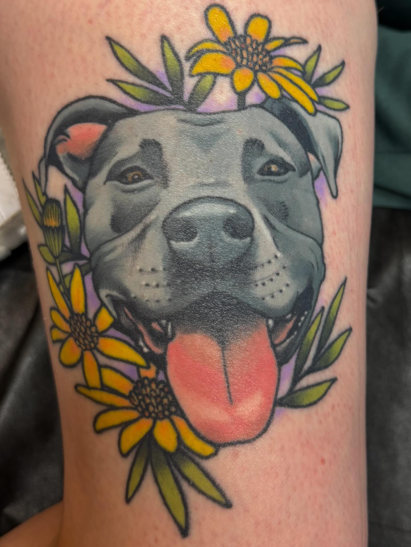 Pit bull with flowers realism tattoo on the forearm by Monica Amneus