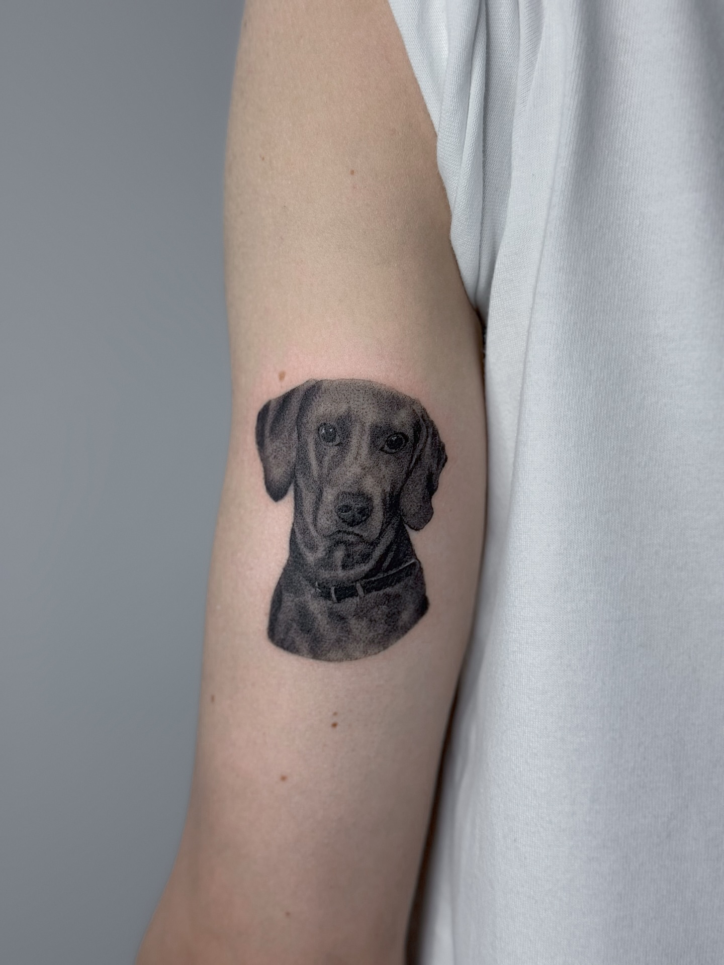 Tattoo by @romanova.skinart — dotwork