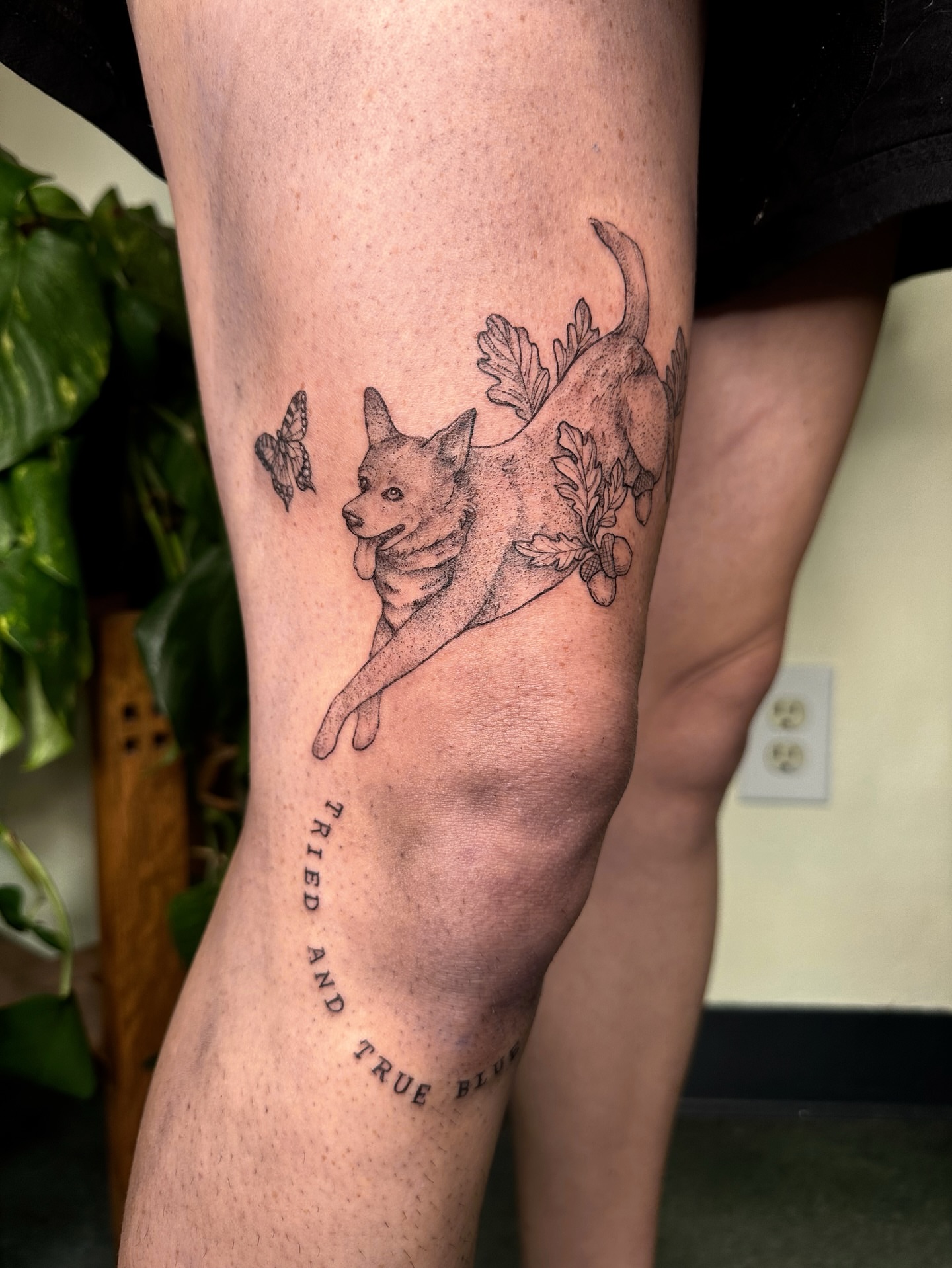 Dog and butterfly dotwork tattoo on the leg by kenzie hunter