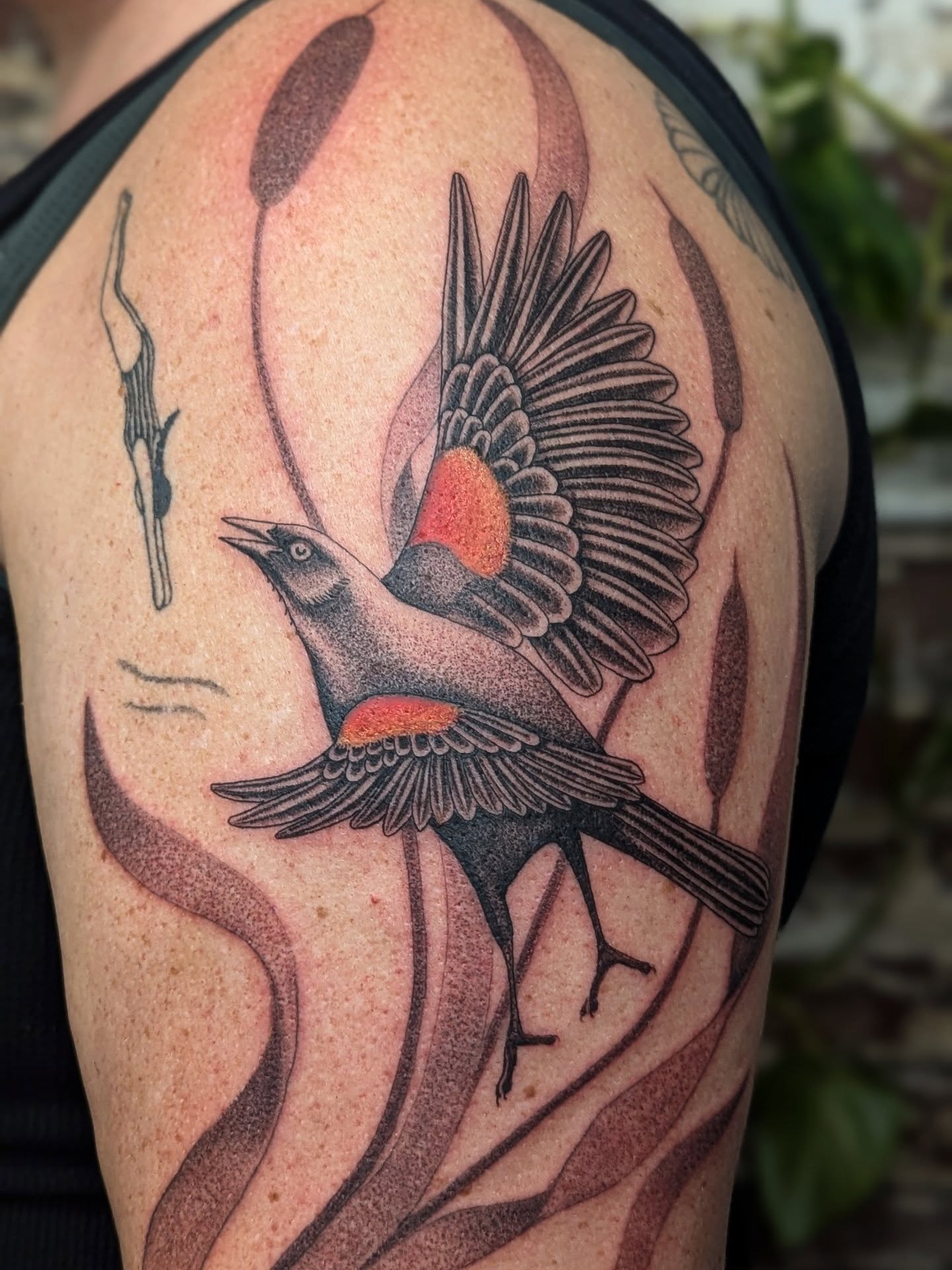 Red-winged blackbird American traditional tattoo on the shoulder by Eli Studer
