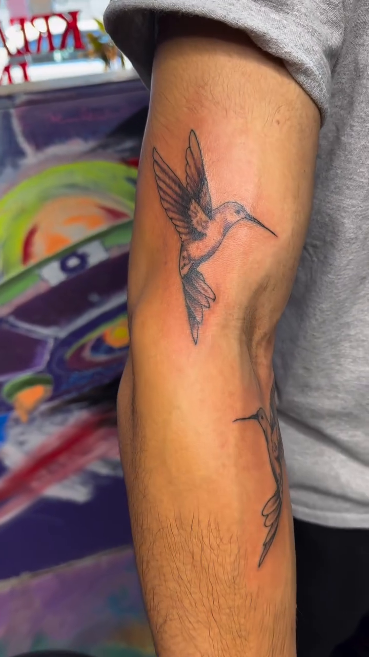 Hummingbird tattoo fine line tattoo on the forearm by Teddi James, Renton, Washington