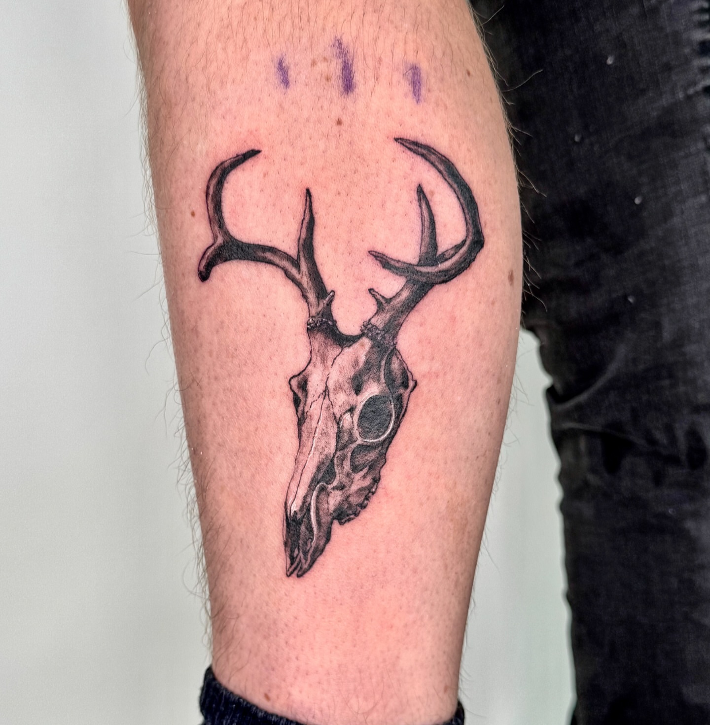 Deer skull black and grey tattoo on the forearm by Tiffany