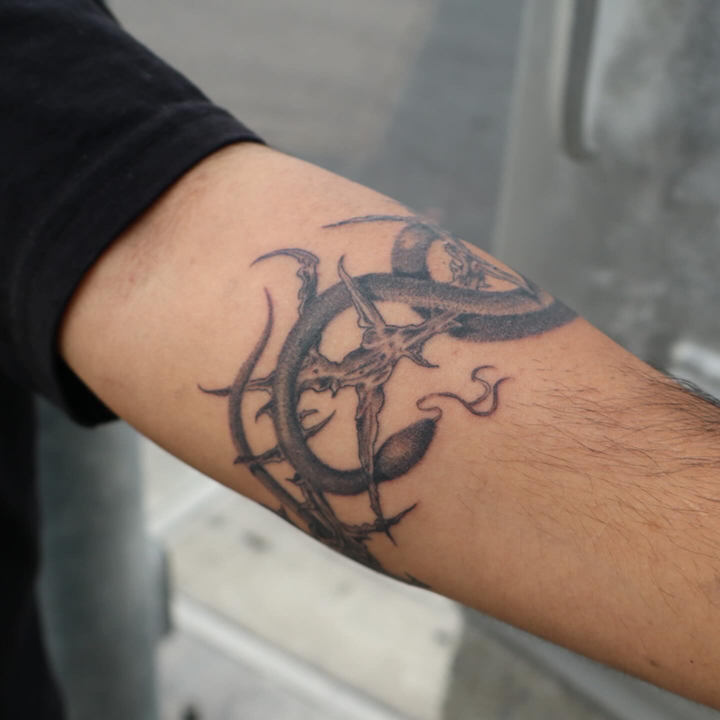 Snake and thorns black and grey tattoo on the forearm by Ladyjutsu