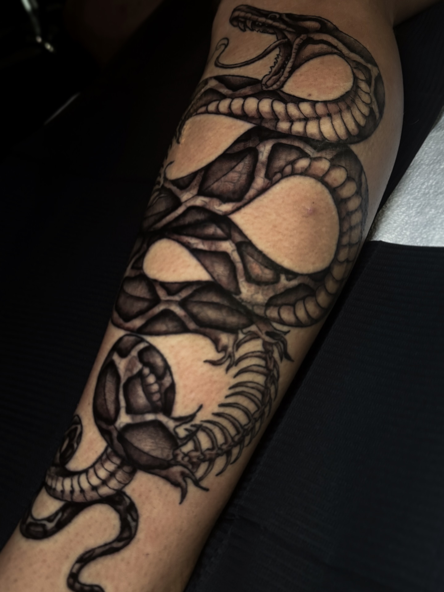 Snake black and grey tattoo on the forearm by Cristen Aro