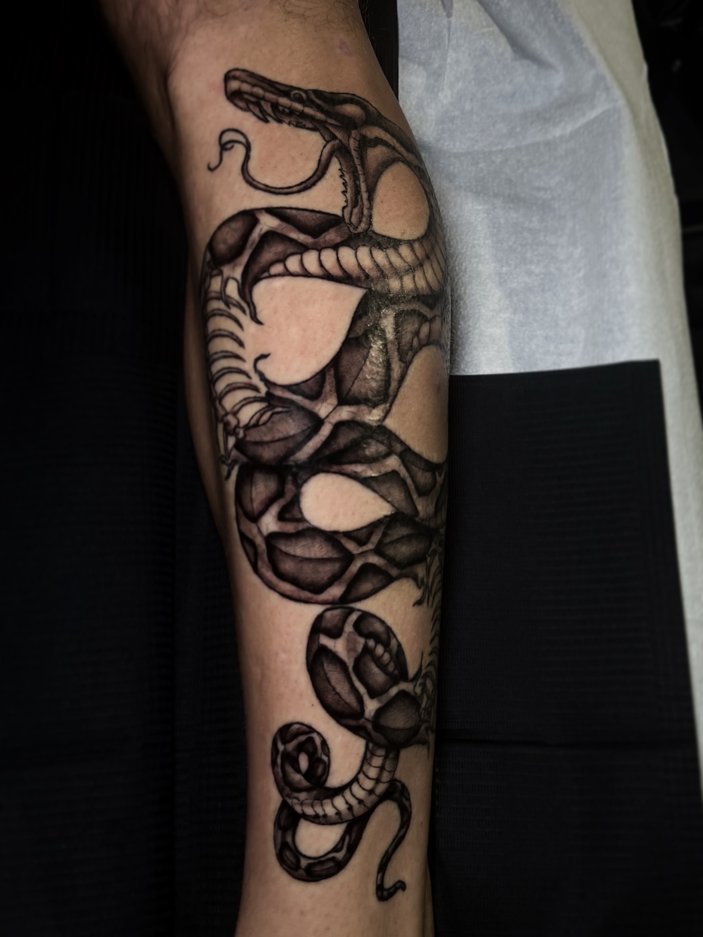 Snake realism tattoo on the forearm by Cristen Aro