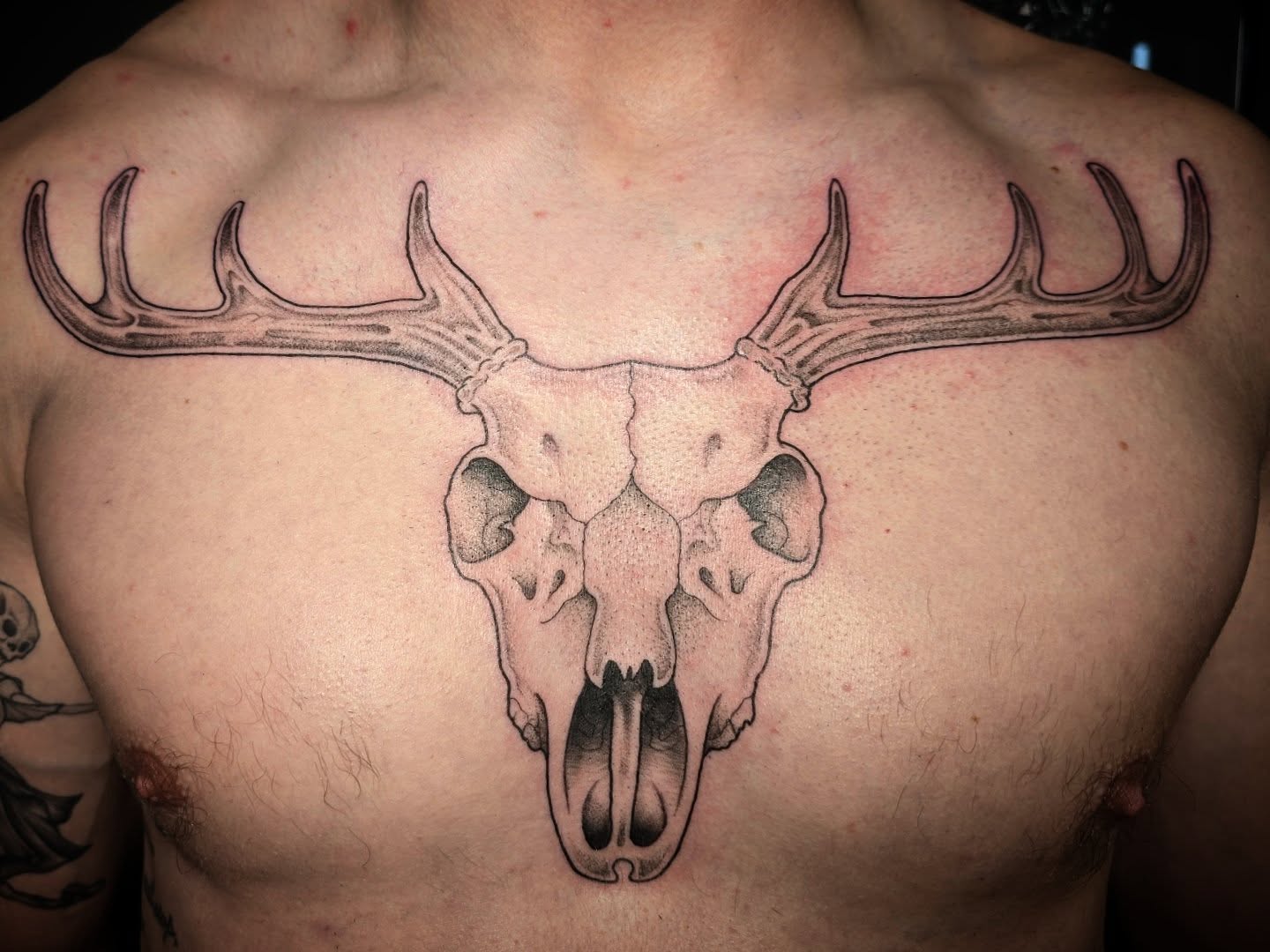 Tattoo by @molly.tattoos — black_and_grey