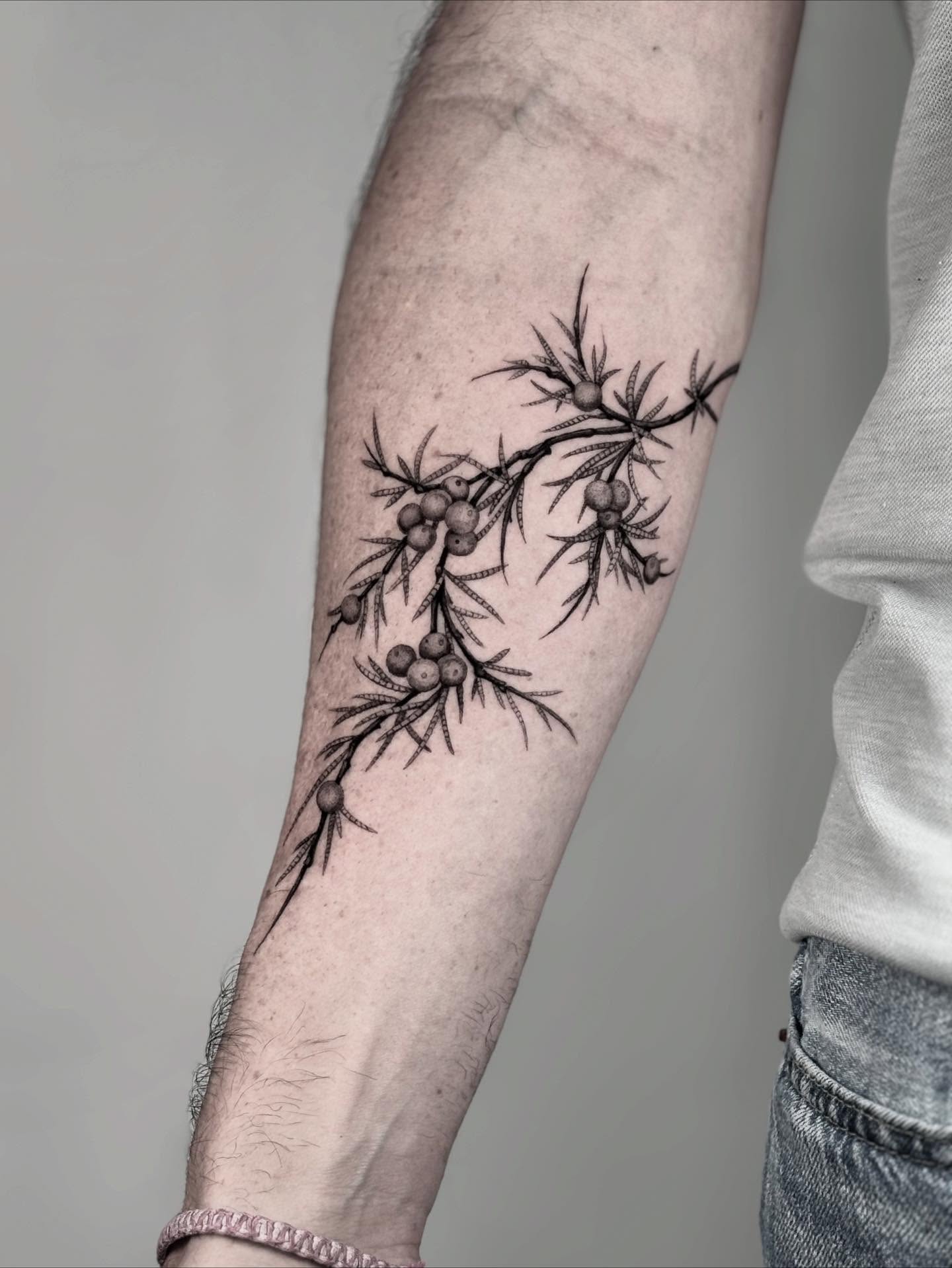 Branch with berries black and grey tattoo on the forearm by Brittney Naami, San Francisco, California