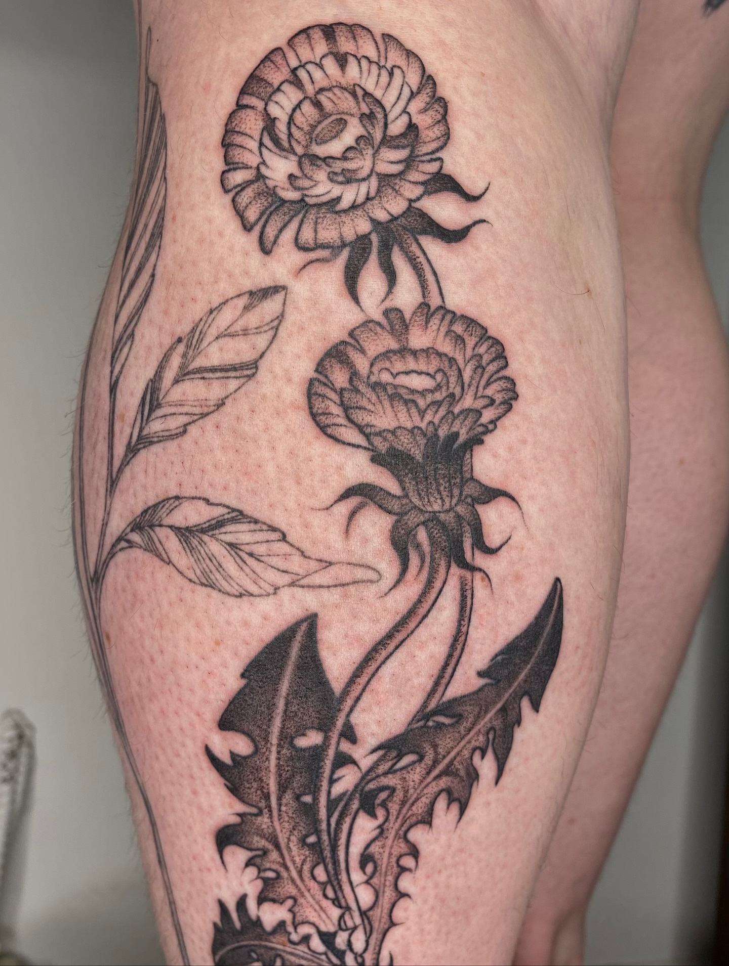 Tattoo by @sabbatma — dotwork, black_and_grey