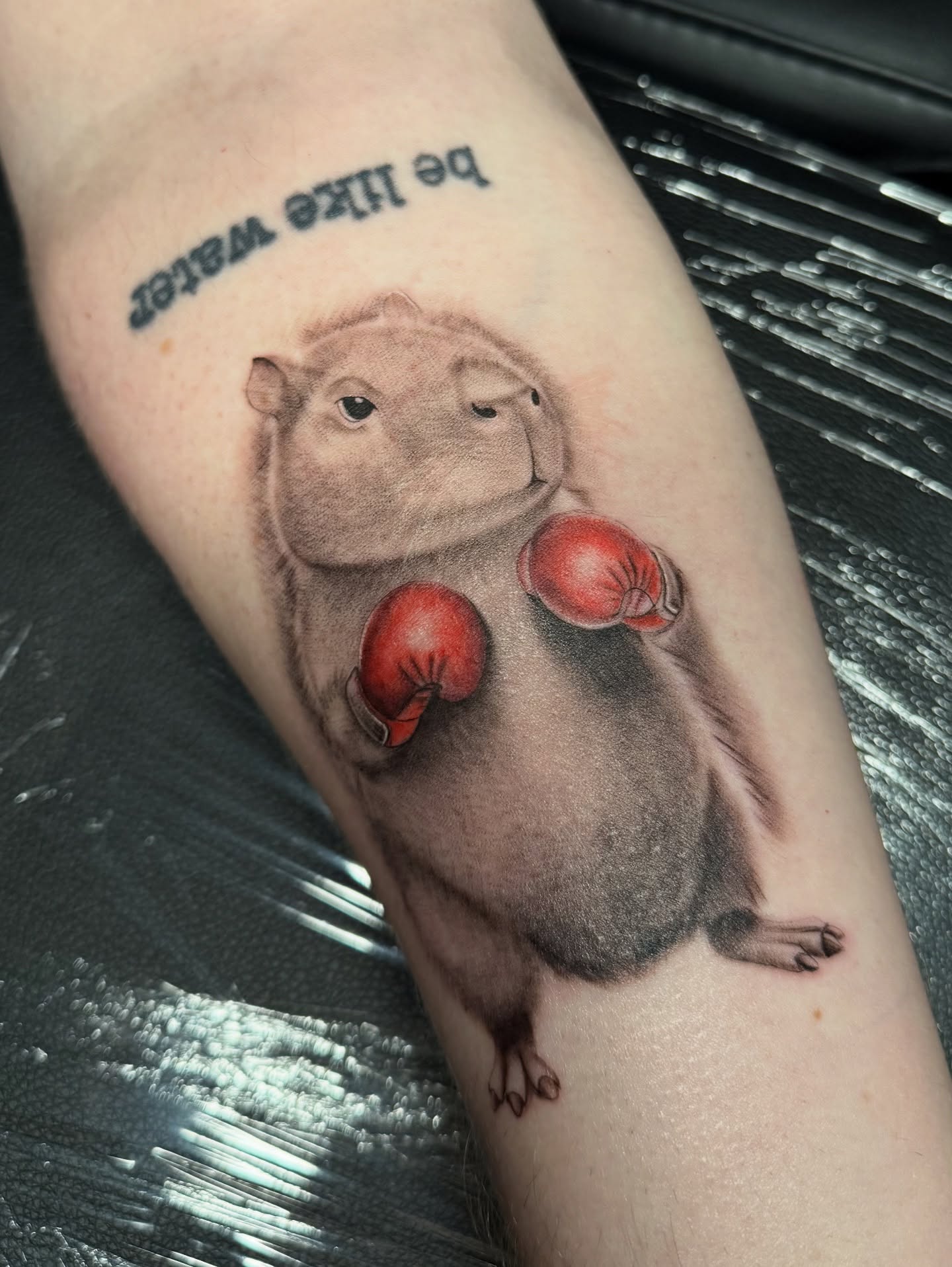 Boxing capybara realism tattoo on the forearm by 𝙰𝚛𝚕𝚒𝚗𝚐𝚝𝚘𝚗 𝚃𝚊𝚝𝚝𝚘𝚘 𝙰𝚛𝚝𝚒𝚜𝚝 ✴︎ 𝚝𝚊𝚝𝚜𝚇𝚟𝚊𝚕