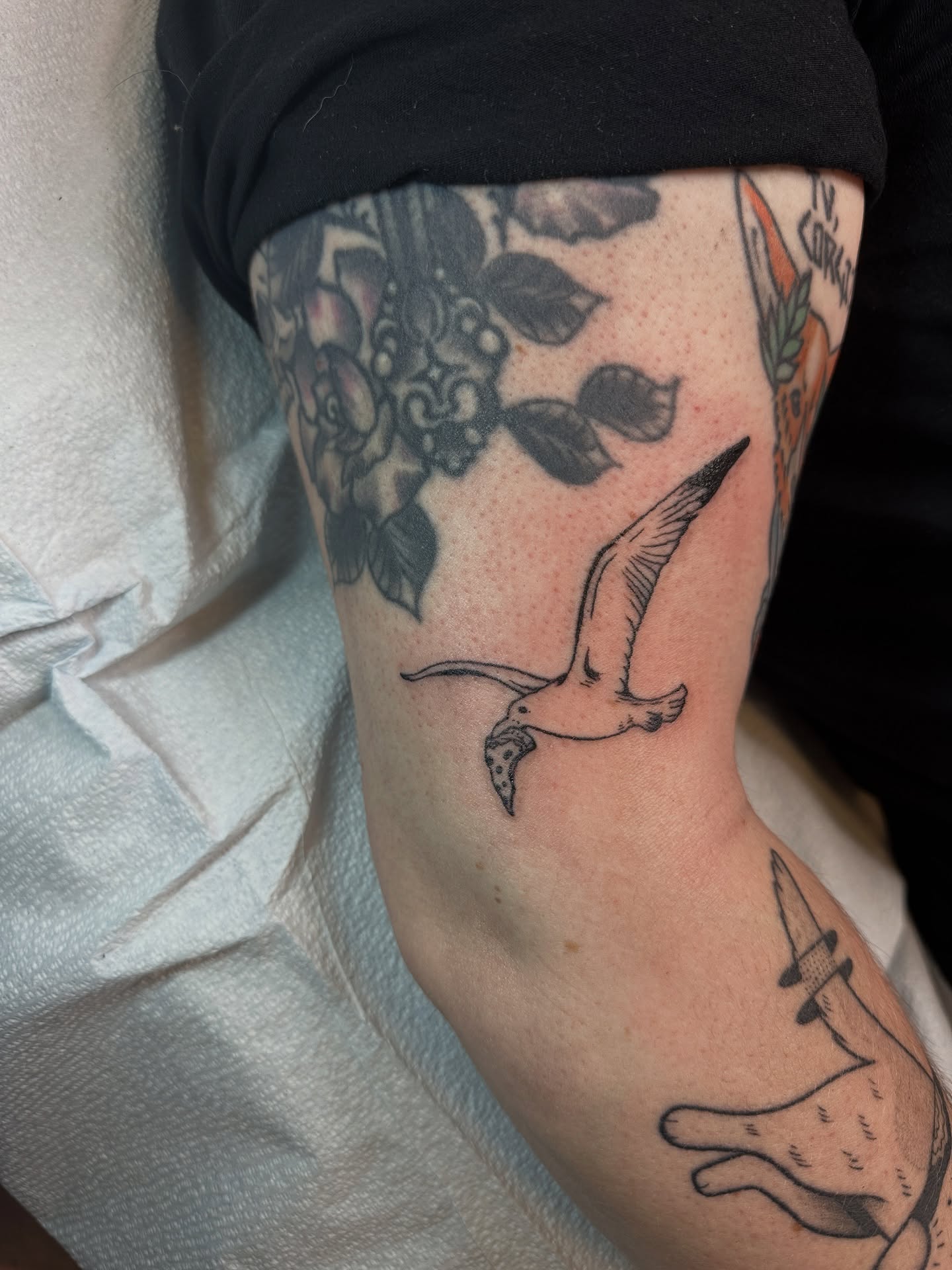 Seagull black and grey tattoo on the forearm by Emma Berger
