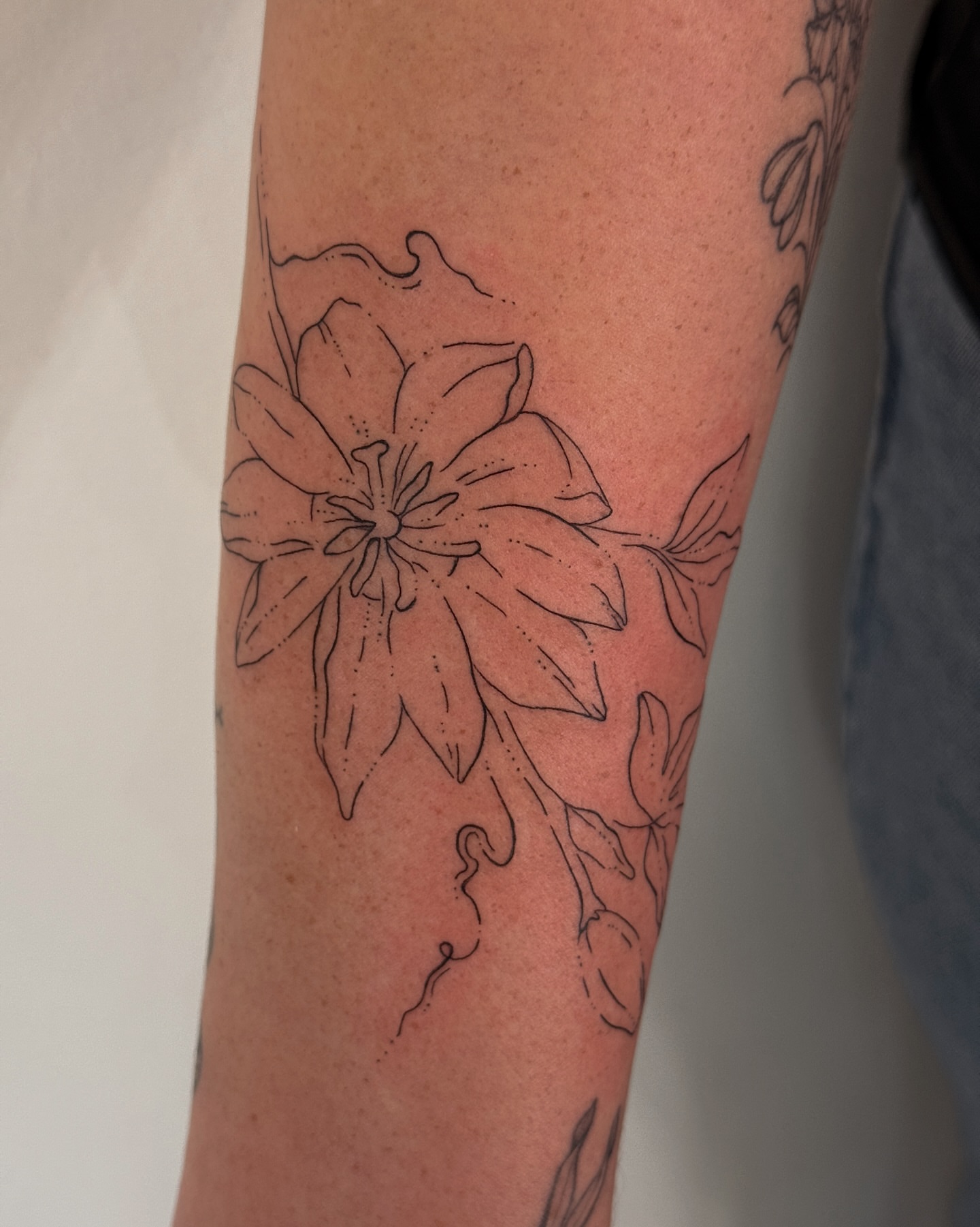 Lily black and grey tattoo on the forearm by Inky Apricot, Austin, Texas