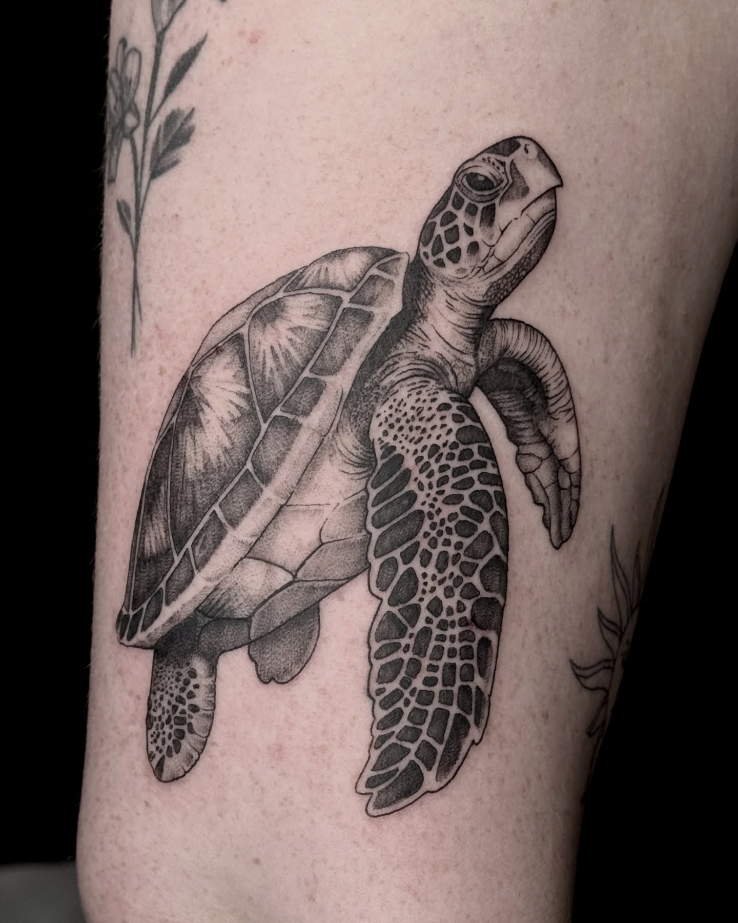 Sea turtle black and grey tattoo on the forearm by Hannah May, La Mesa, California
