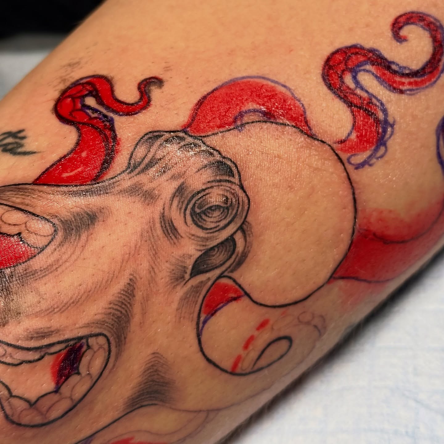 Tattoo by @bogwitchtattoos โ american_traditional, realism