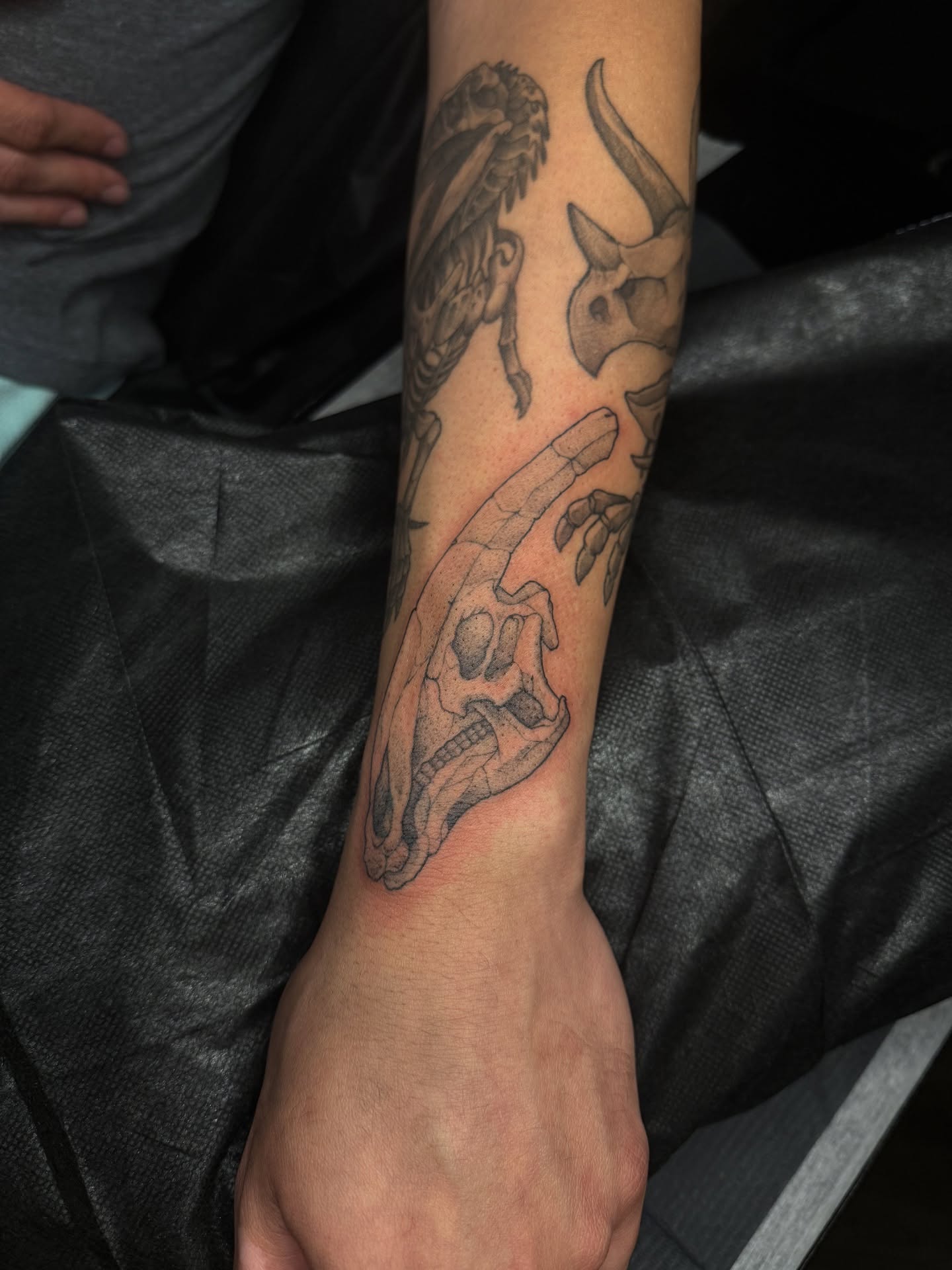 Skull and bull black and grey tattoo on the forearm by Marcus