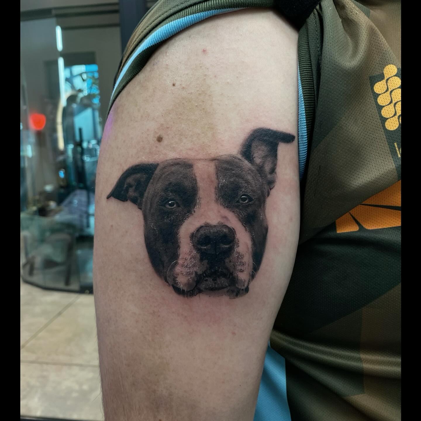 Pit bull realism tattoo on the upper arm by Jazz
