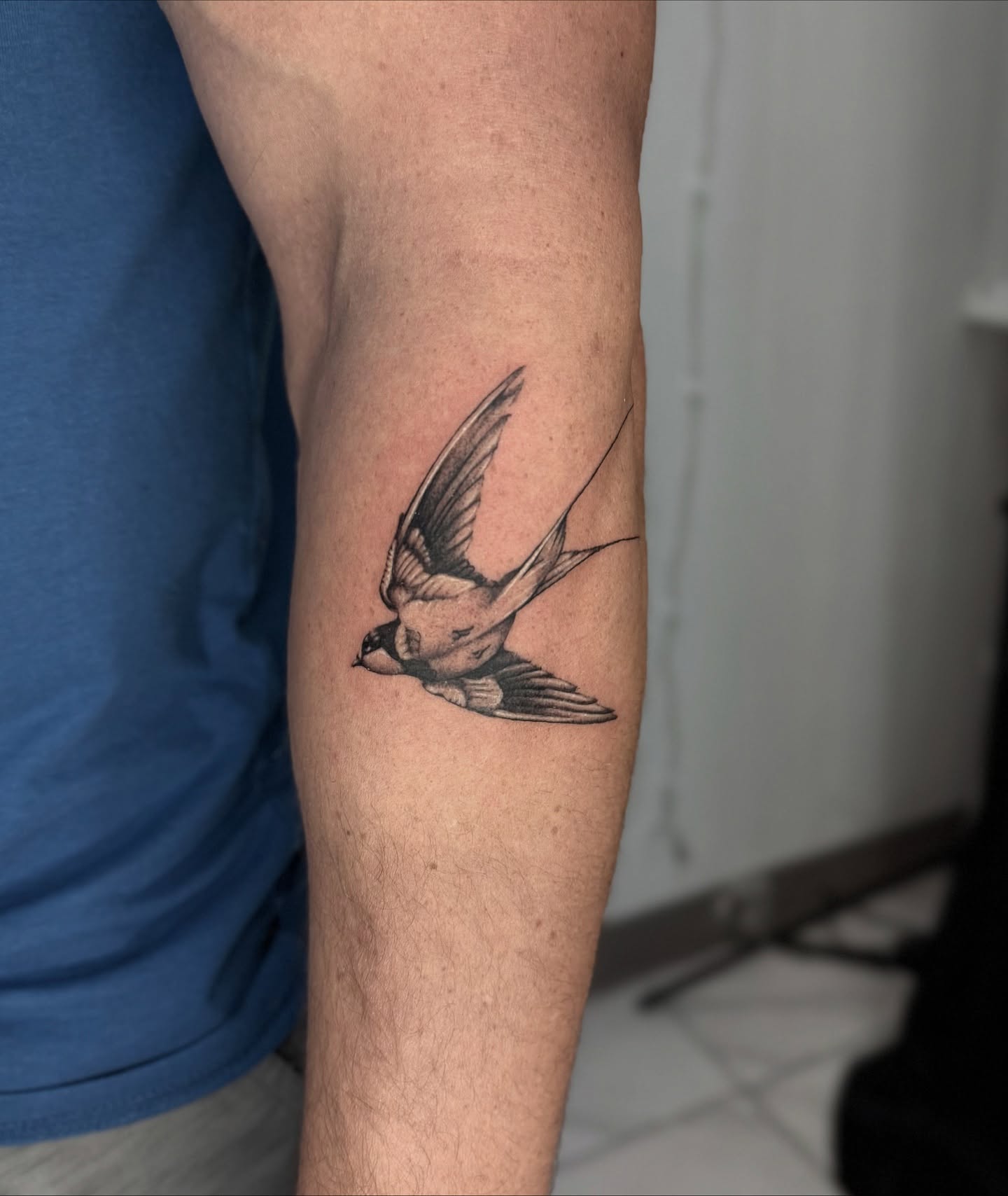 Swallow realism tattoo on the forearm by Miro Ink Tattoo