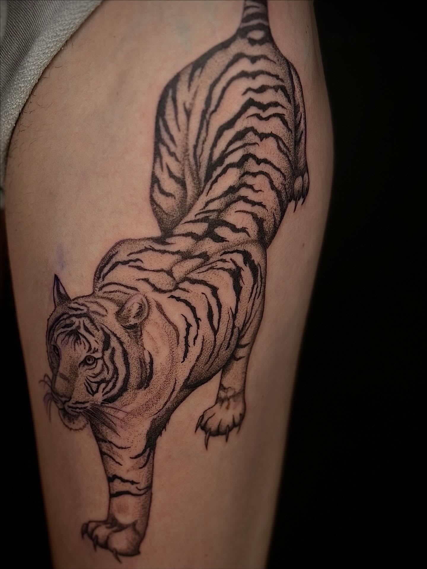 Tiger dotwork tattoo on the thigh by Brooks