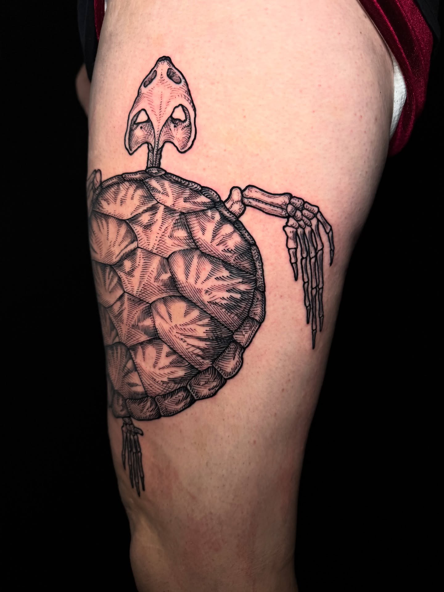Turtle skeleton dotwork tattoo on the thigh by Landon Morgan