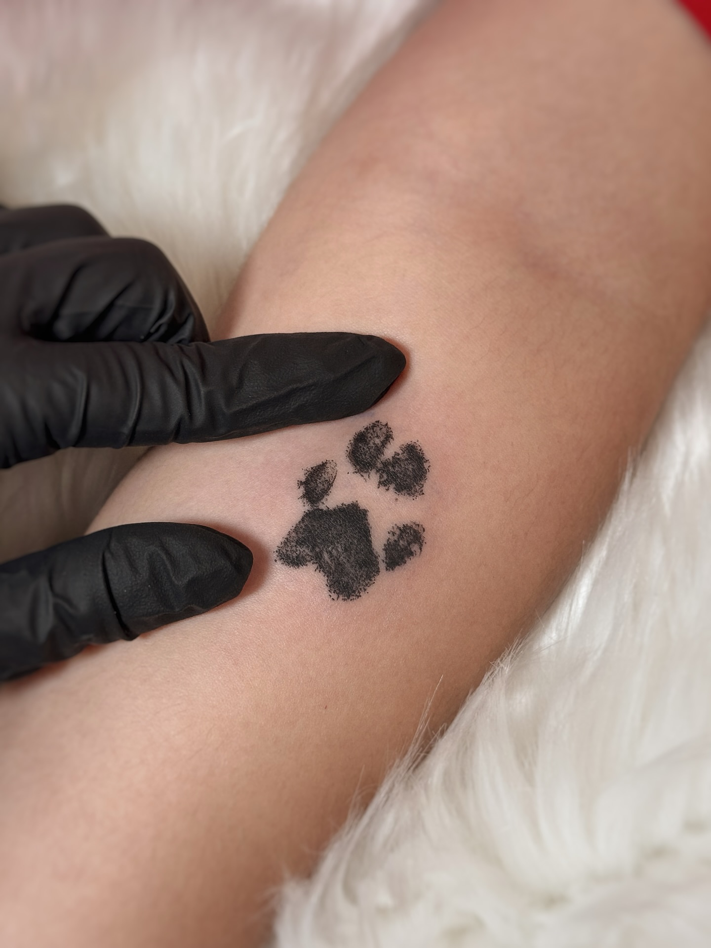 Paw print black and grey tattoo on the forearm by Gianna Rodriguez