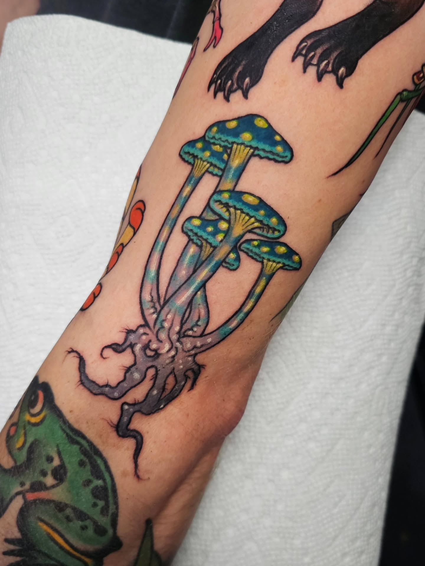 Mushroom cluster American traditional tattoo on the forearm by Shannon