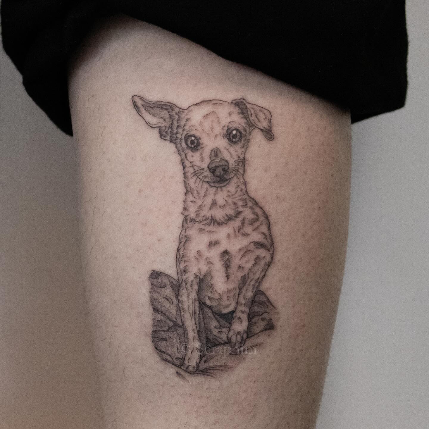 Dog realism tattoo on the thigh by Seraphim