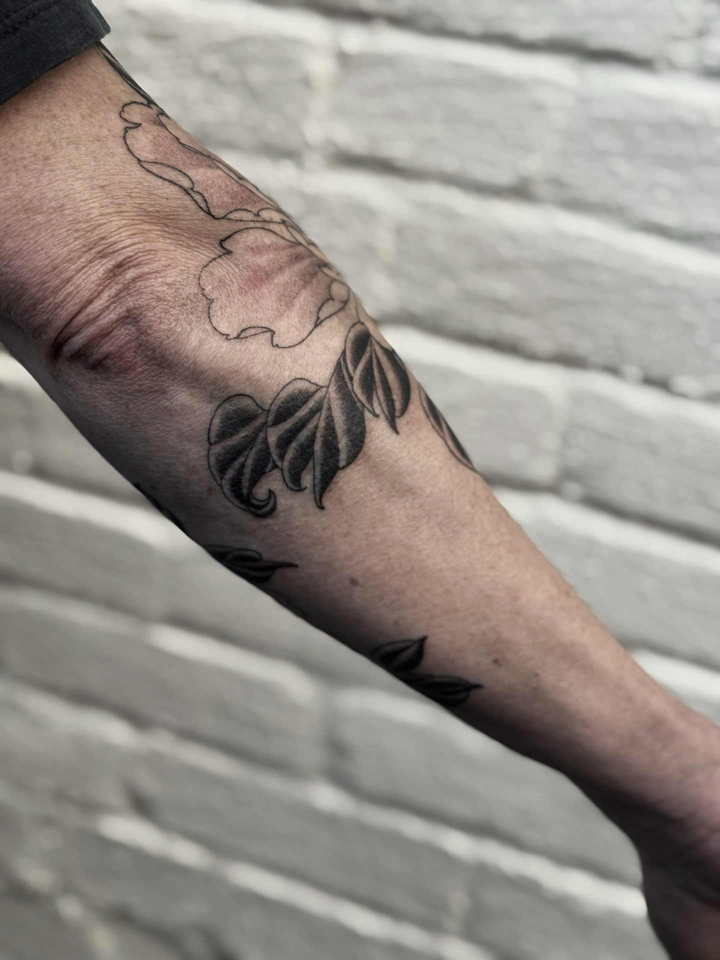 Flower black and grey tattoo on the forearm by Virginia 🥀Neo Traditional