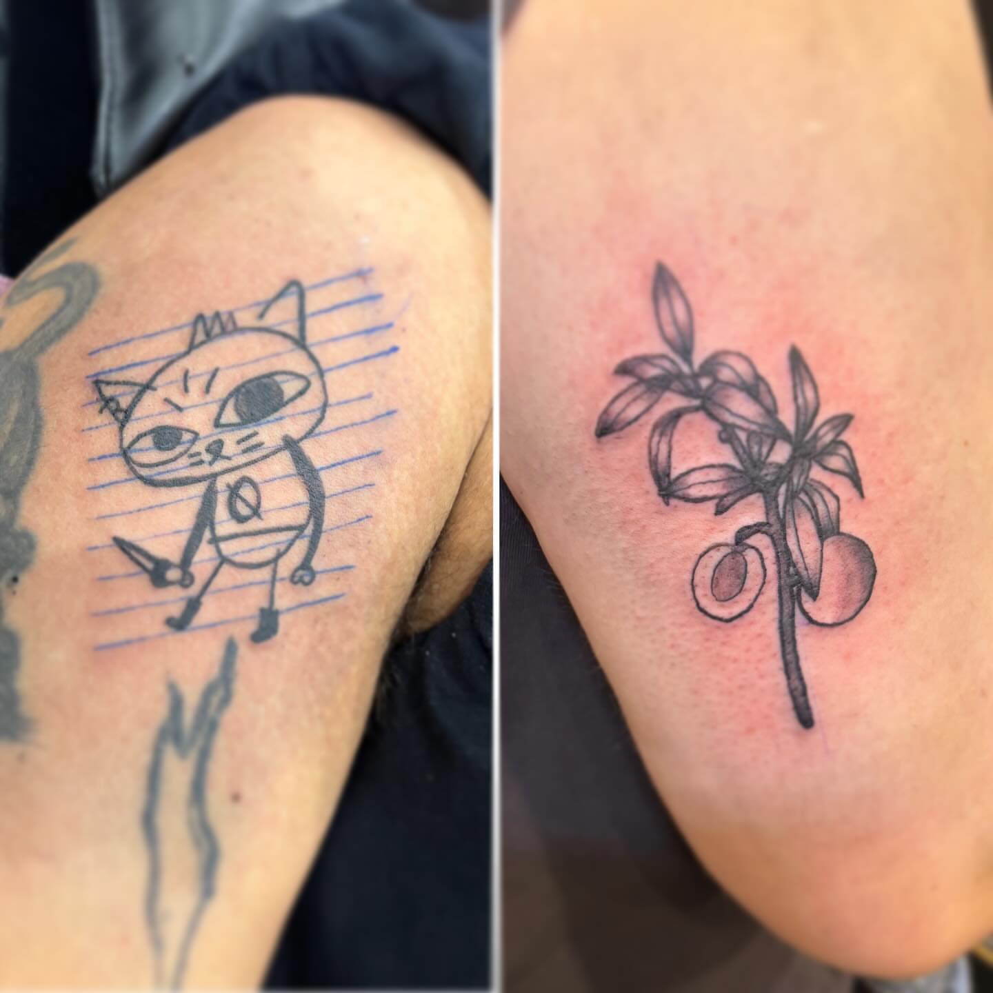 Cat black and grey tattoo on the upper arm by Runtz Tattoo, Greensboro, North Carolina