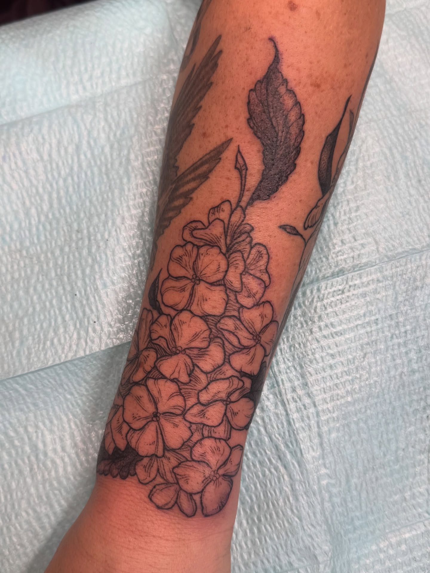 Hydrangea flowers black and grey tattoo on the forearm by Rebeka Chase [Sobodacha]