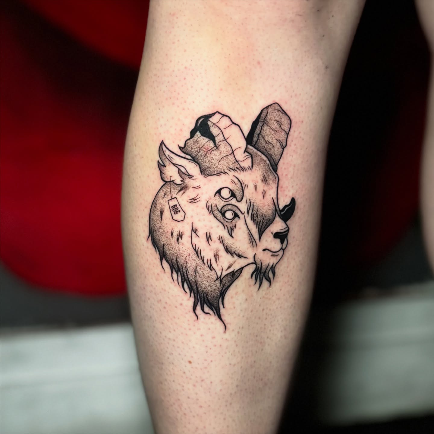Goat head dotwork tattoo on the forearm by 𝕊𝕒𝕞 ☪︎ ִ ࣪𖤐 𐦍 ☾𖤓