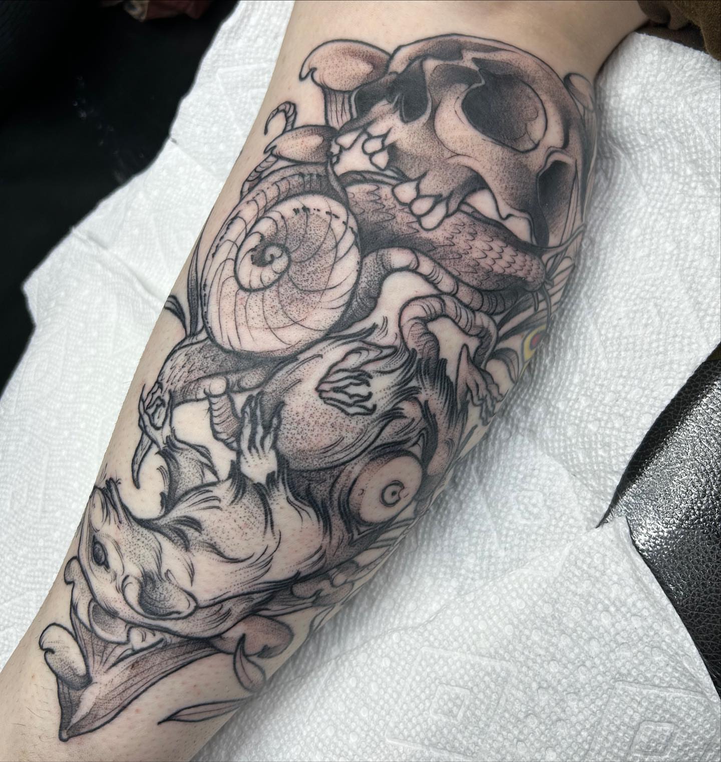 Snail and skull dotwork tattoo on the forearm by Tatijana., Kettering, Ohio