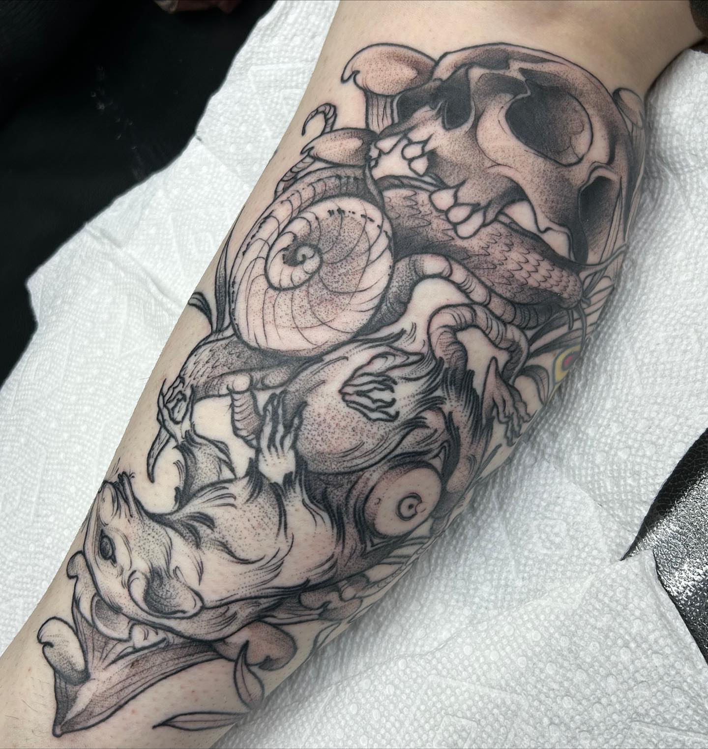 Skull and ram dotwork tattoo on the forearm by Tatijana., Kettering, Ohio