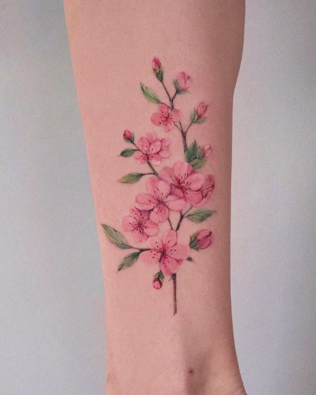 Cherry blossoms watercolor tattoo on the forearm by Thin line and color TATTOO.