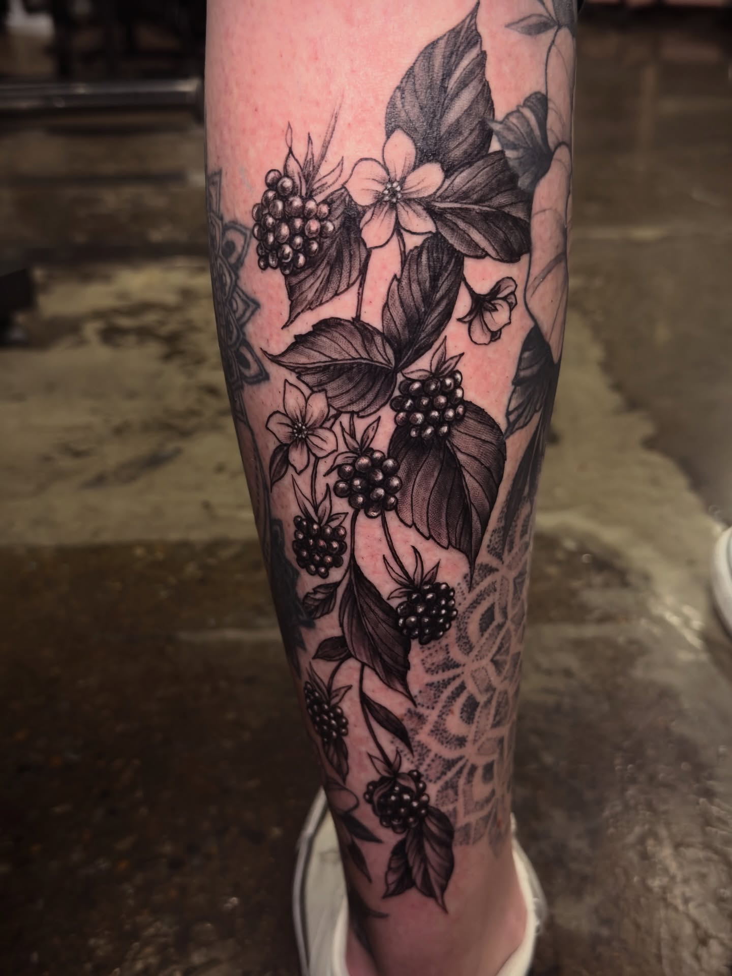 Berry vines black and grey tattoo on the calf by Jeff Brock