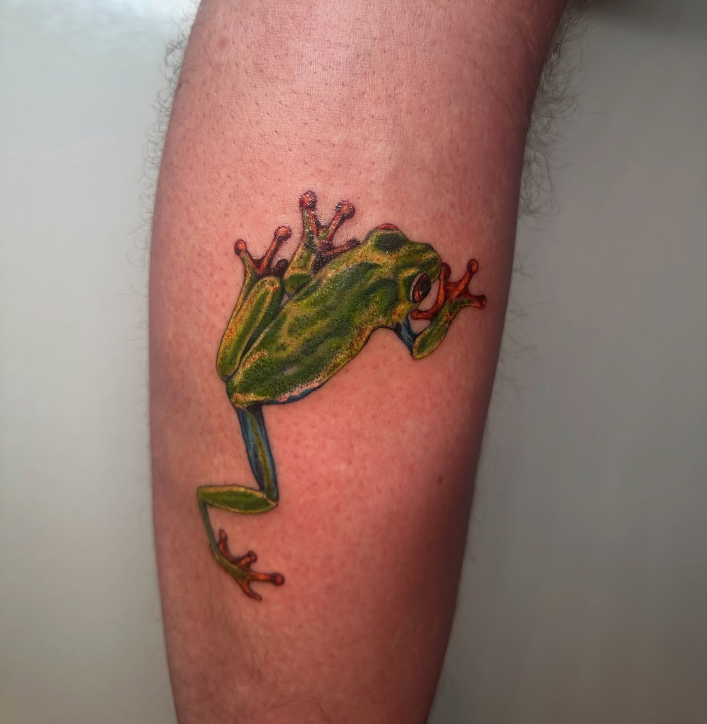 Frog realism tattoo on the forearm by 𓆏 Alyssa Carbonara 𓆏
