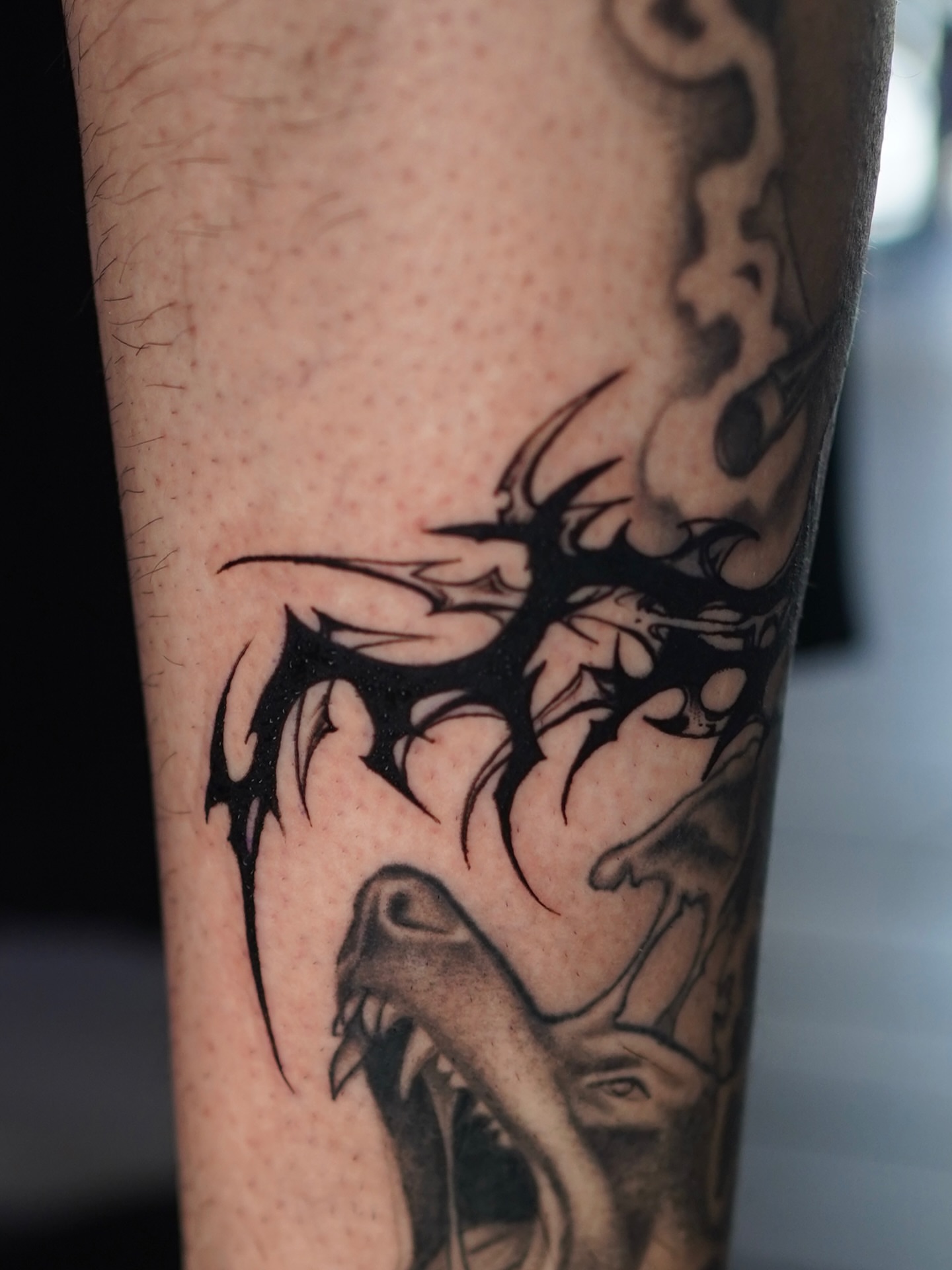 Tattoo by @jess.psychedelia — black_and_grey, tribal