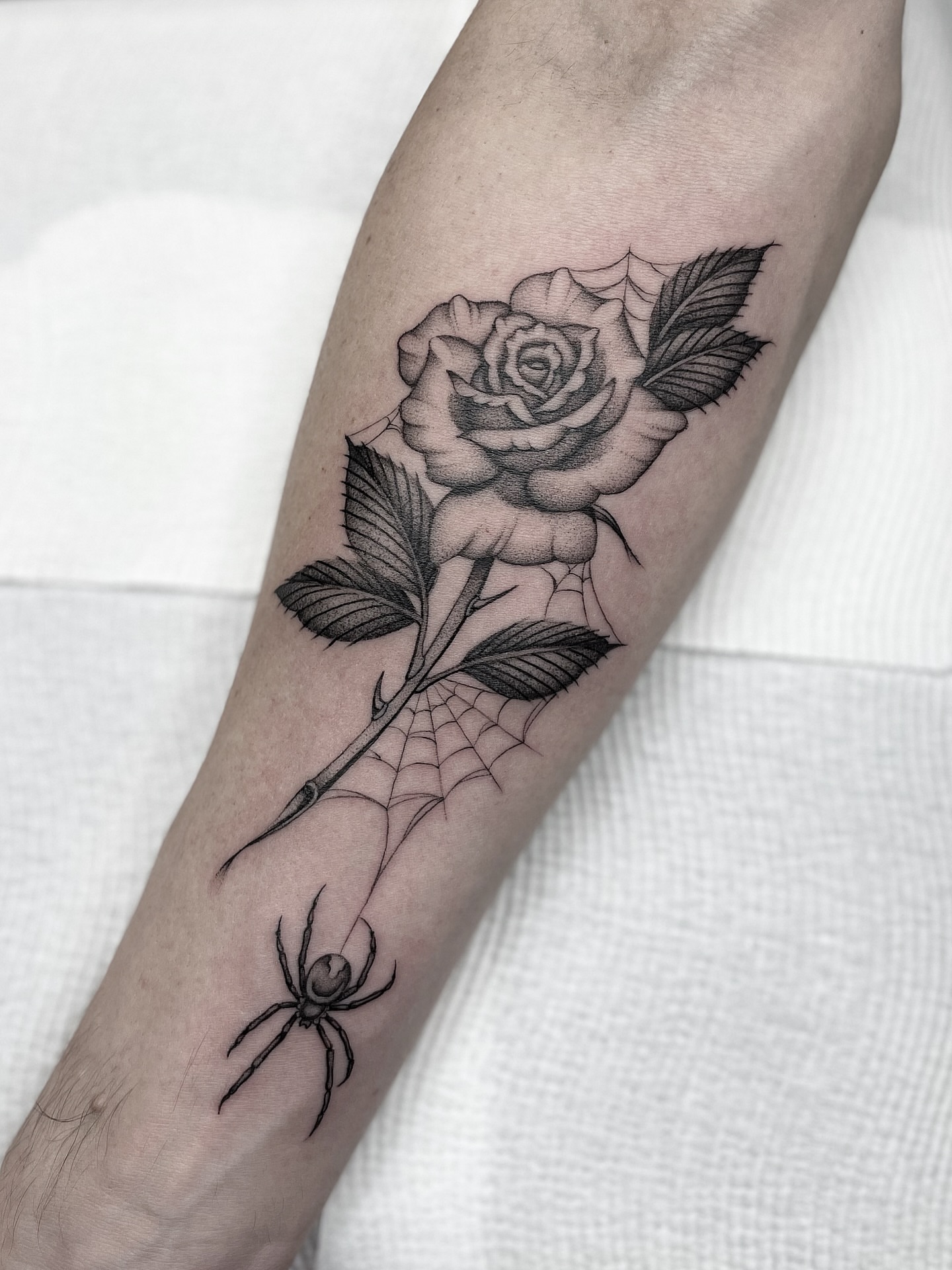Rose and spider realism tattoo on the forearm by Gold Coast Tattoo Artist, Gold Coast, Queensland