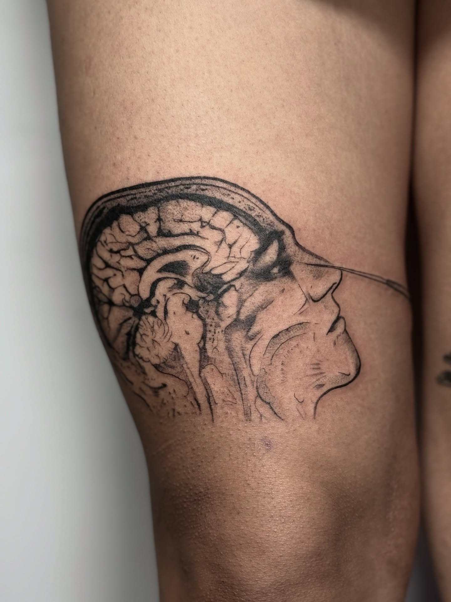 Tattoo by @abryvtattoos — black_and_grey, realism