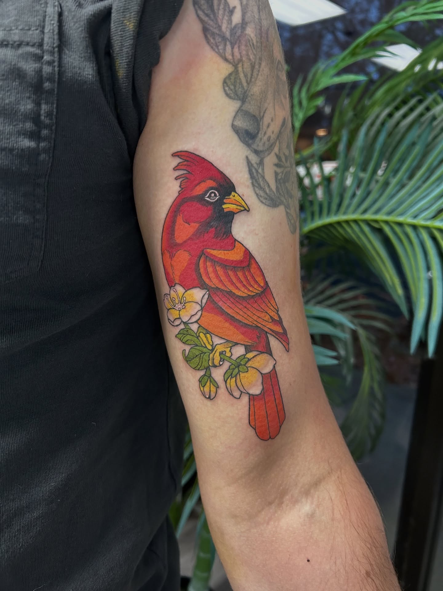 Cardinal bird realism tattoo on the forearm by Taylor Heidtbrink