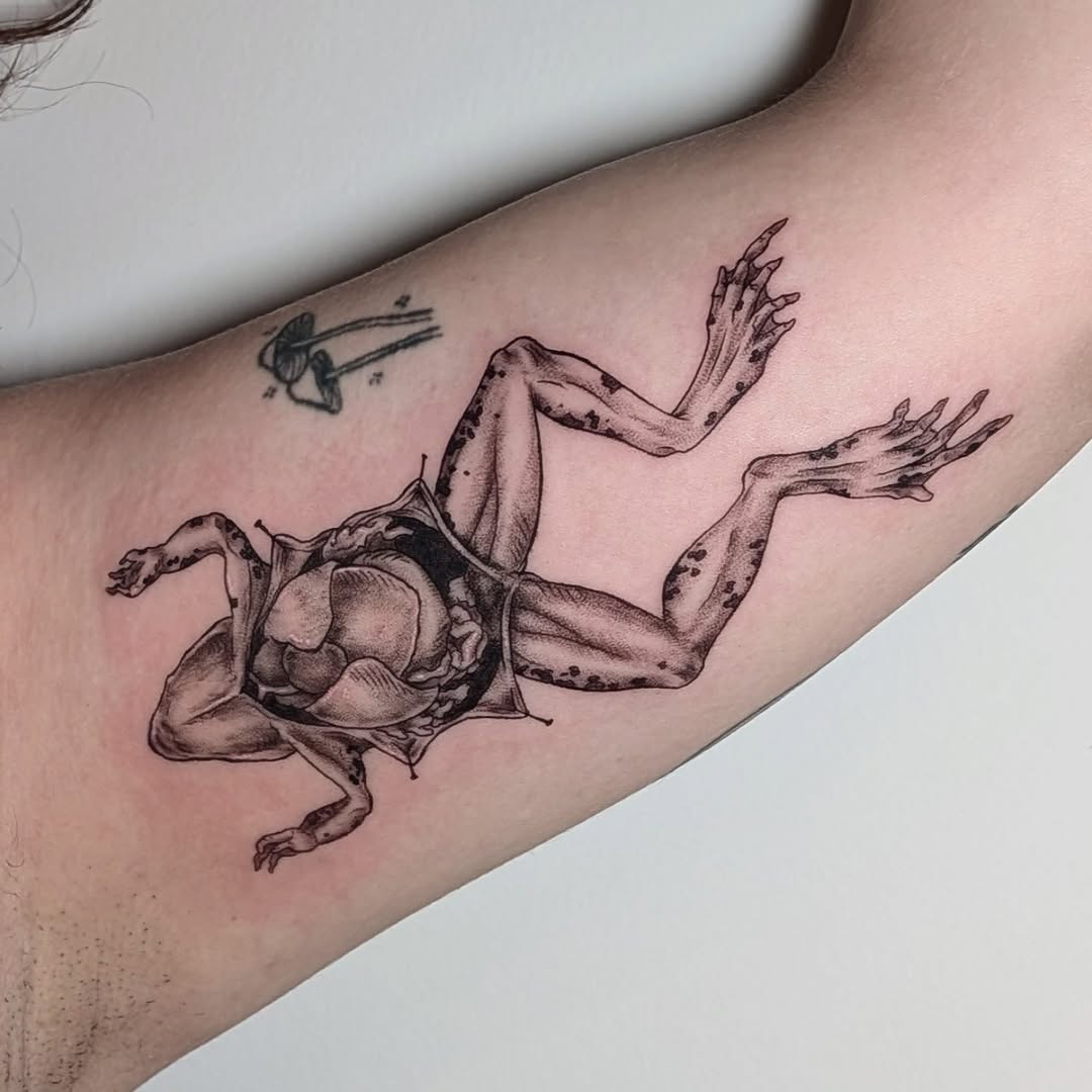 Tattoo by @tattoosbylucyl โ black_and_grey, realism