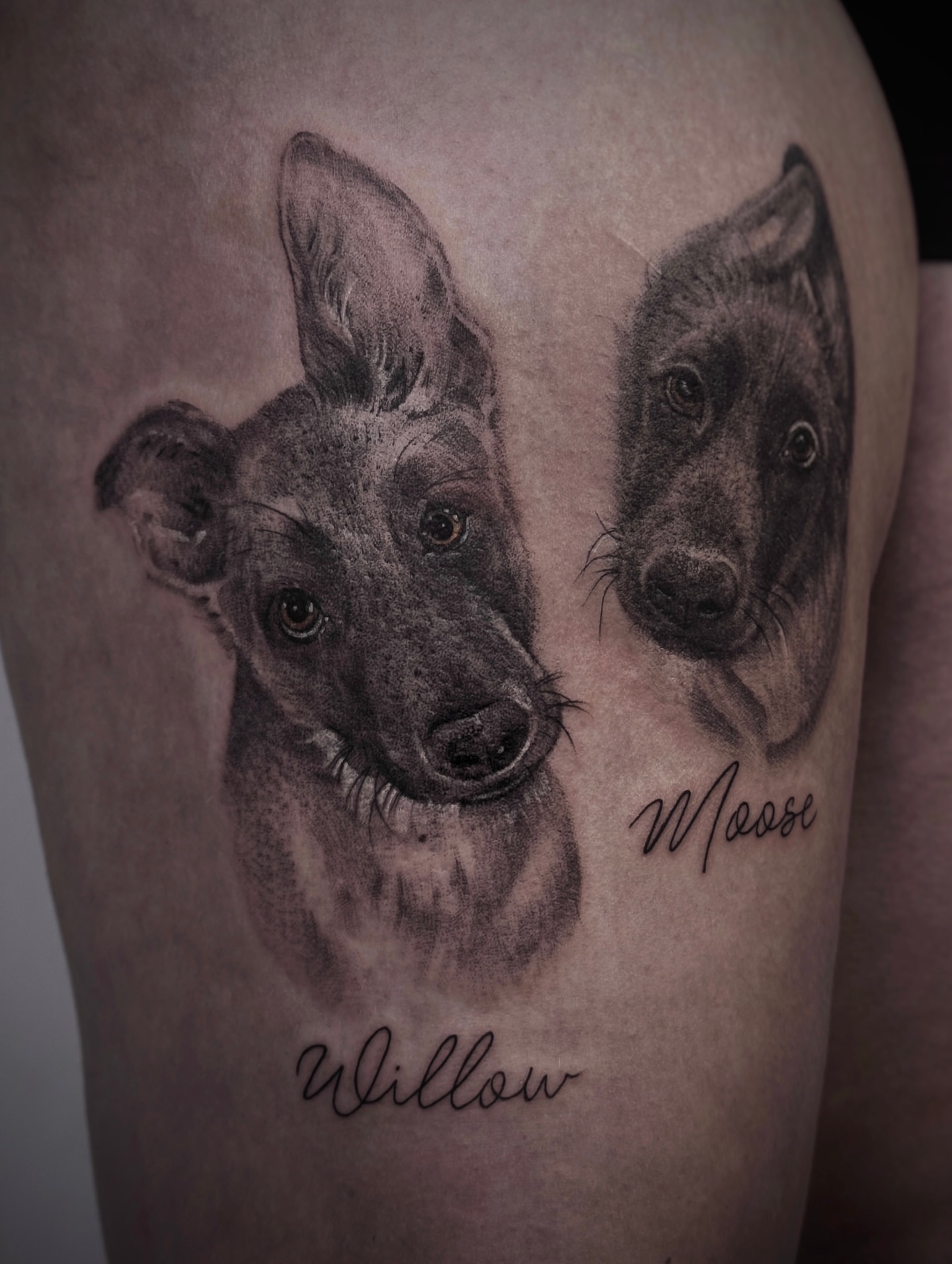 Dogs realism tattoo on the thigh by Tattoo Yulia Kononenko