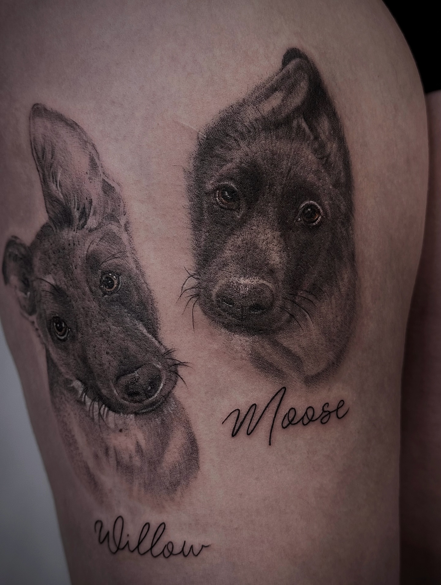 Dogs realism tattoo on the thigh by Tattoo Yulia Kononenko