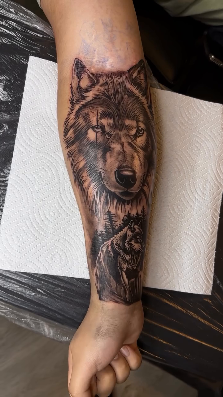 Wolf portrait on forearm realism tattoo on the upper arm by 🐺