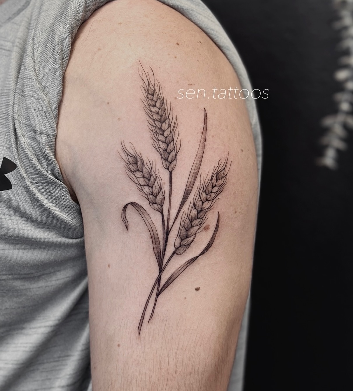 Wheat black and grey tattoo on the upper arm by Sen Tattooer