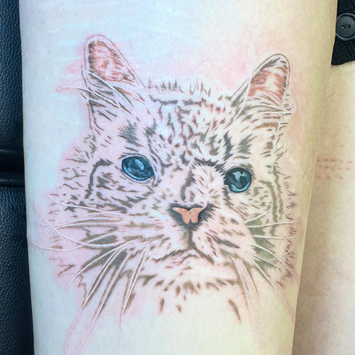Cat realism tattoo on the forearm by Sarah Nash